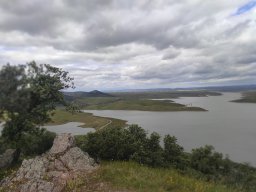 Flora del Cerro Masatrigo